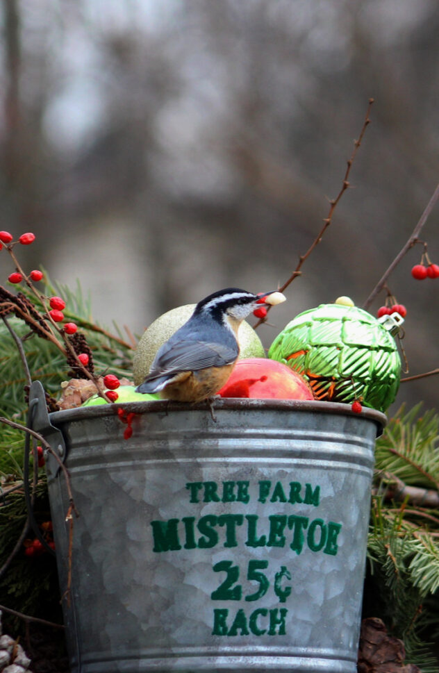 Galvanized Bucket Christmas