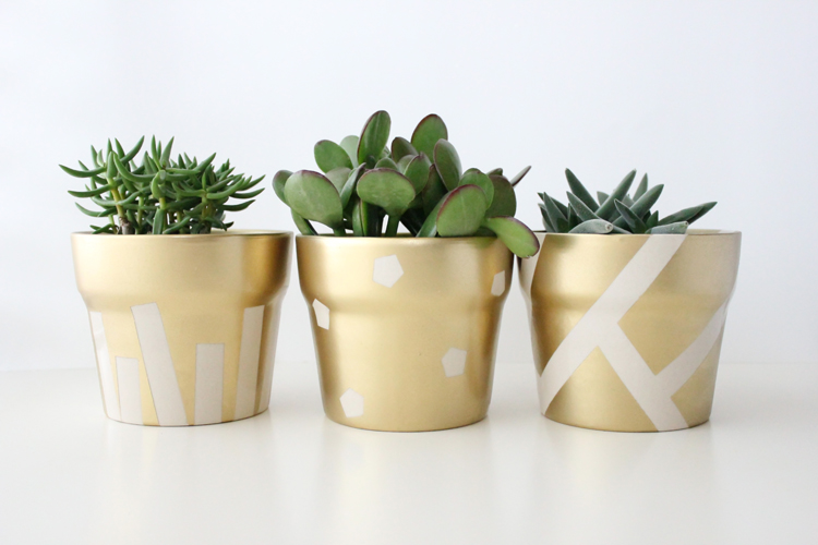 10 DIY Planters Perfect for Spring – Pickled Barrel