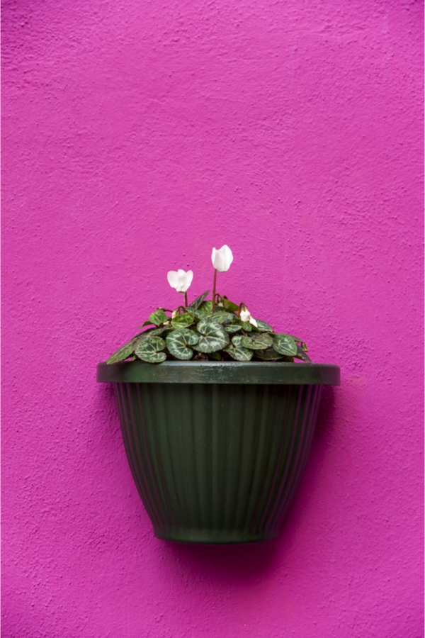 galvanized painted wall planter