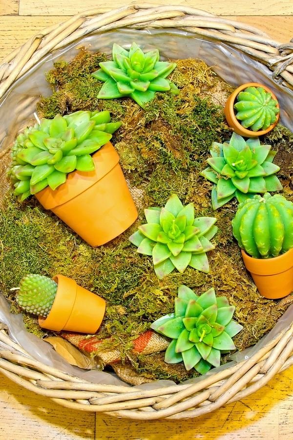 If you love Joanna Gaines and saving money, you will love these Joanna Gaines inspired farmhouse dollar store DIYs. These succulent candles look amazing in terracotta pots.