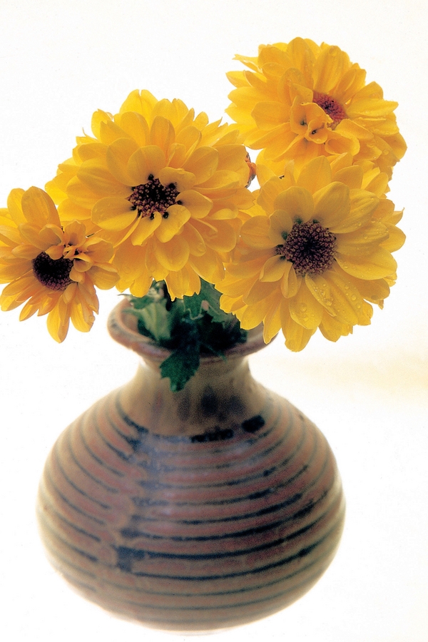 If you love Joanna Gaines and saving money, you will love these Joanna Gaines inspired farmhouse dollar store DIYs. You can make simple glass vases look like terracotta.