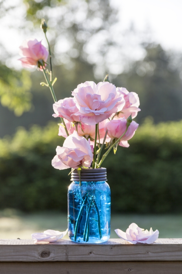 If you love Joanna Gaines and saving money, you will love these Joanna Gaines inspired farmhouse dollar store DIYs. You can change your mason jars by tinting them a cute blue color.