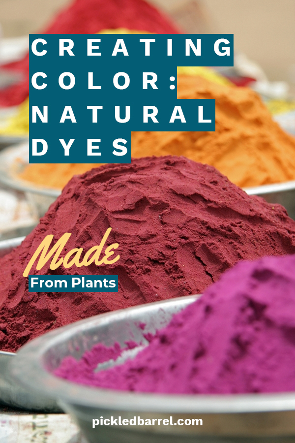 Creating Color Natural Dyes Made From Plants Pickled Barrel