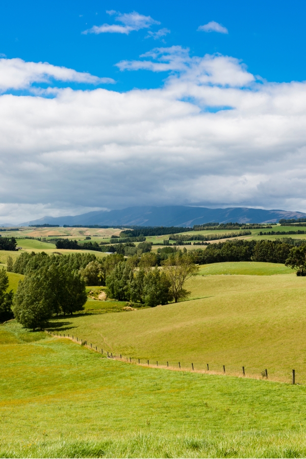 Benefits Of Rural Living {That Will Surprise You!} – Pickled Barrel