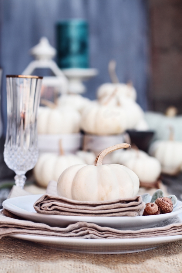 Want to impress your guests this Thanksgiving? Check out these rustic Thanksgiving table decor ideas. You will fall in love with them!