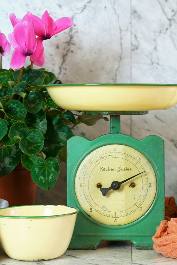 Joanna Gaines inspiration definitely hasn't lost its appeal. Everyone still wants Joanna's ideas and decorating style! Today I'm sharing my favorite Joanna Gaines inspiration. I'll even show you how you can vintage shop like Joanna.