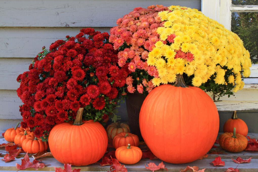 Farmhouse Fall Porch Decor