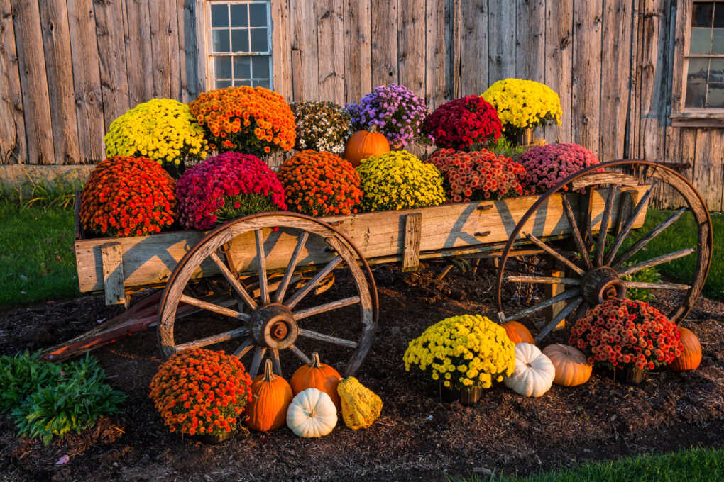 Farmhouse Fall Porch Decor